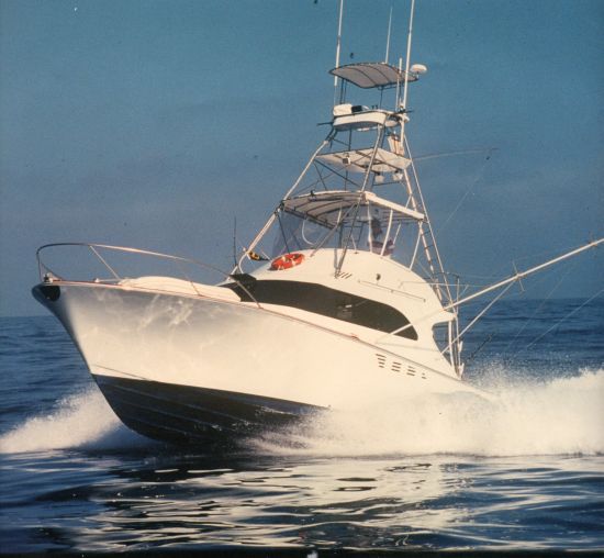 REPORT: Hot marlin bite tapers off